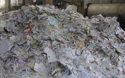 Wastepaper: The Mismatch of a Growing Market and Transport Trends